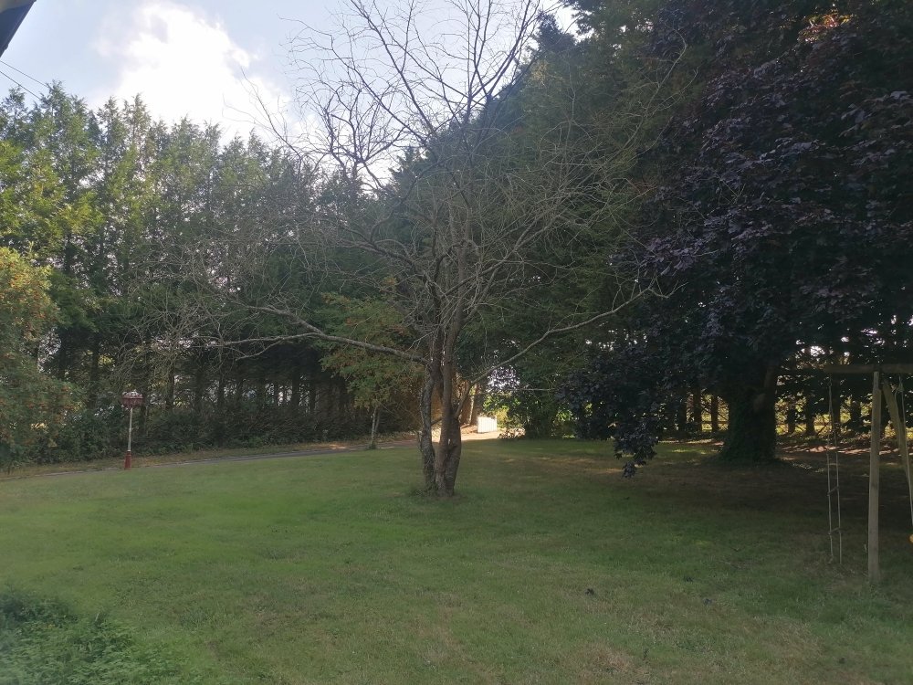 Aire camping-car  Saint-Rieul (22270) - Photo 6
